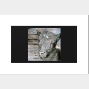 Lambkin | Cute lamb Posters and Art